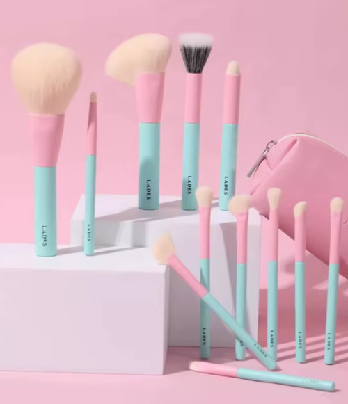 Set de 12 Pcs Turquesa/Rosada Brochas de Maquillaje LADES